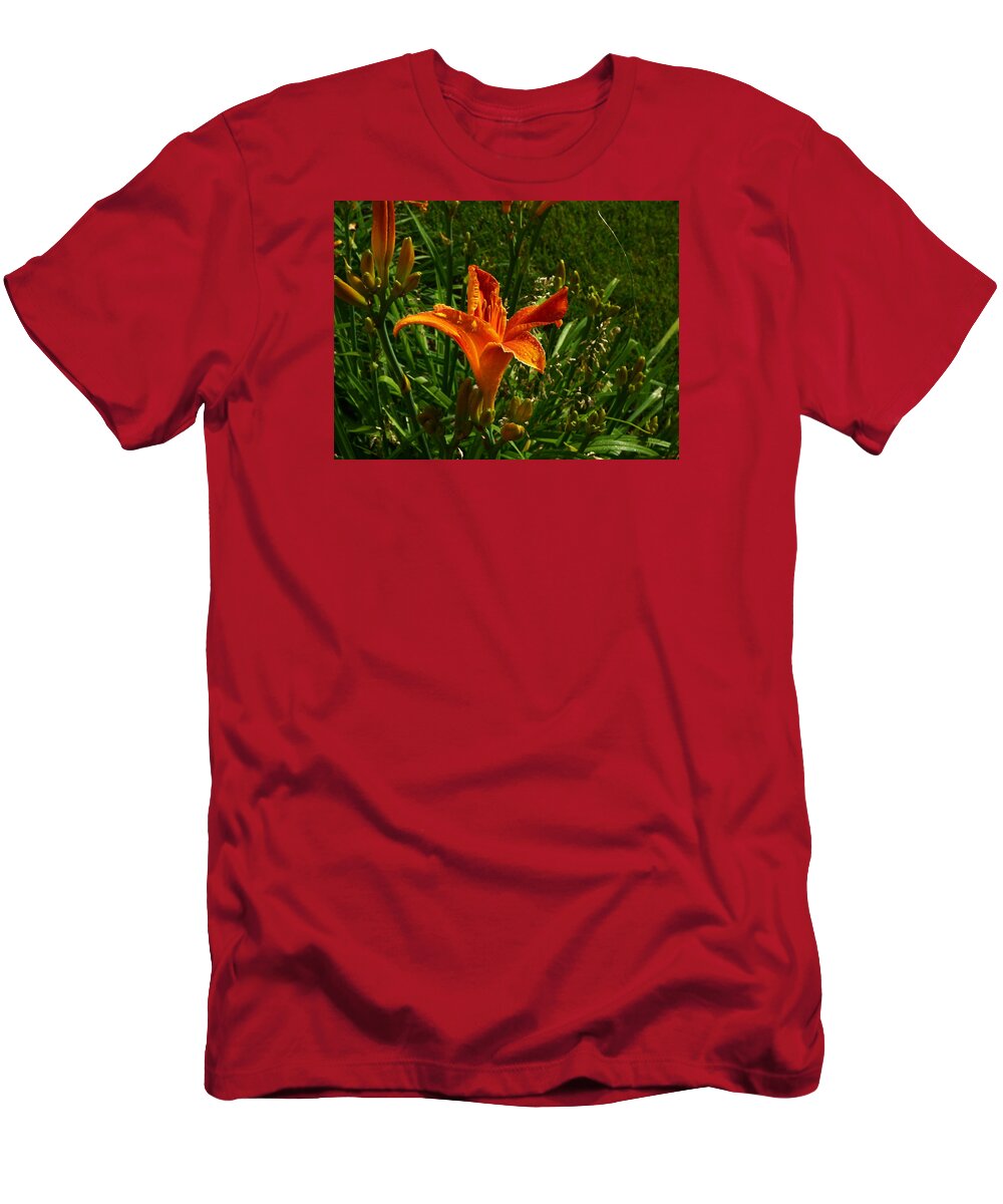 Flower Garden Idaho Photography T-Shirt featuring the photograph Downtown Train #29 by Paul Stanner