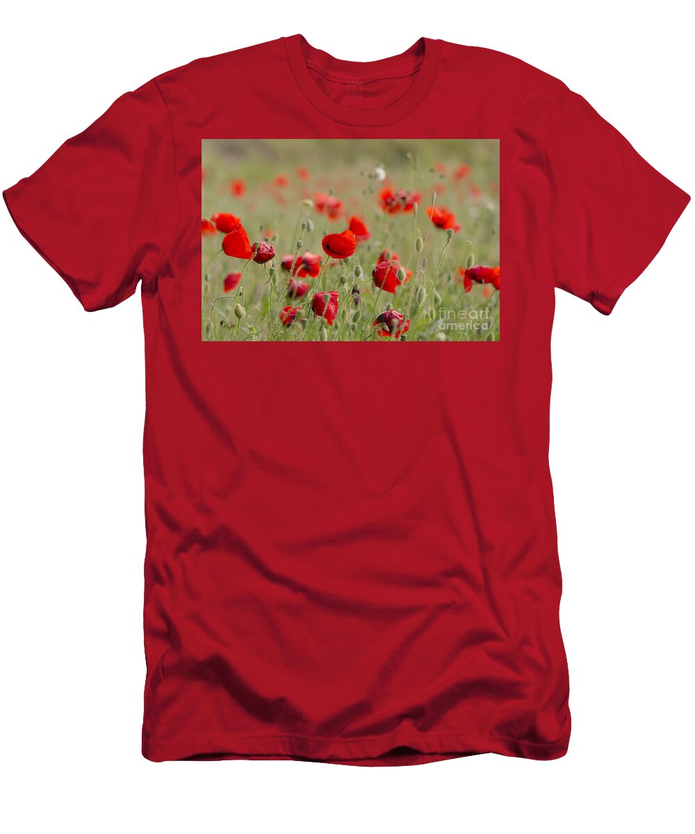 Poppy T-Shirt featuring the photograph Poppies in field in spring #3 by Perry Van Munster