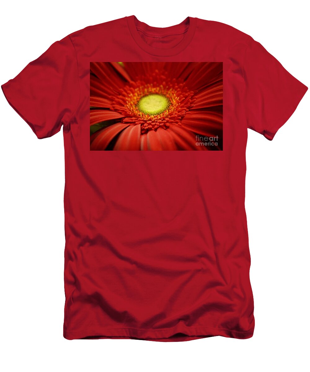 Gerber Daisy T-Shirt featuring the photograph Flowers #35 by Deena Withycombe