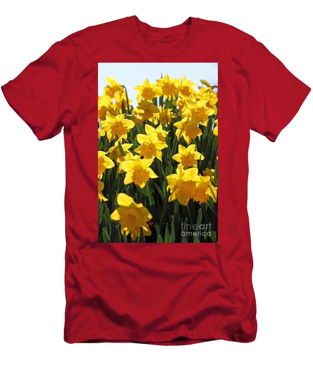 Daffodils In The Sunshine T-Shirt featuring the photograph Daffodils in the sunshine #4 by Julia Gavin
