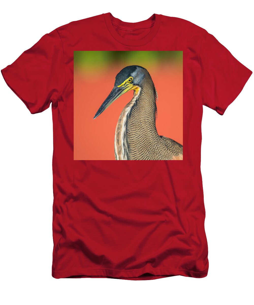 Photography T-Shirt featuring the photograph Bare-throated Tiger Heron Tigrisoma #5 by Panoramic Images