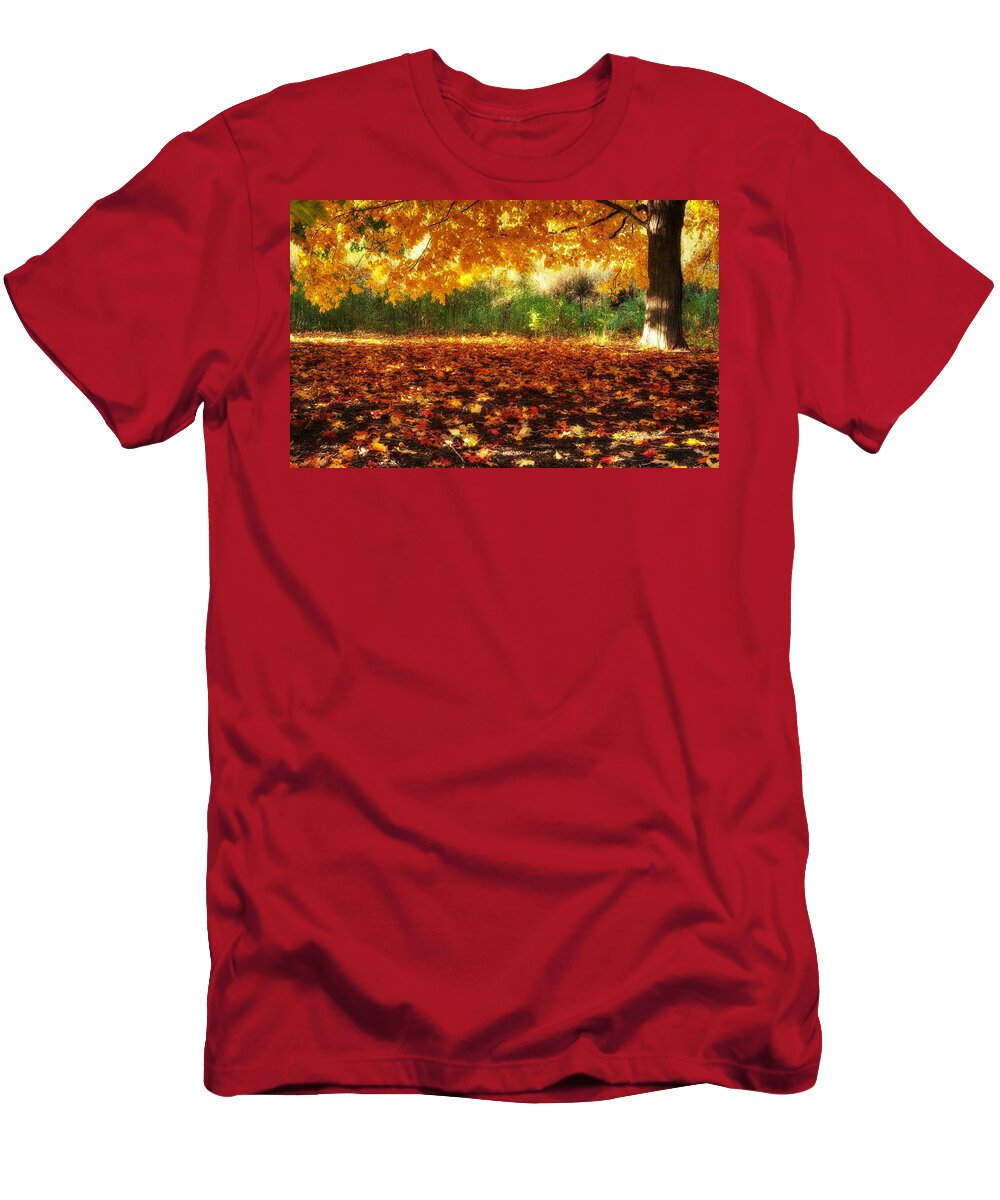 Tree T-Shirt featuring the photograph Tree #5 by Jackie Russo