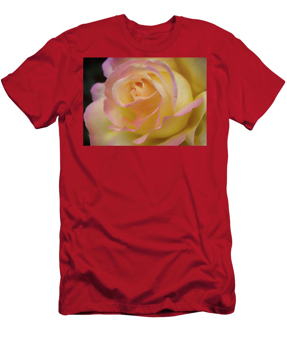 Nature T-Shirt featuring the photograph Rose Beauty #6 by Shirley Mitchell