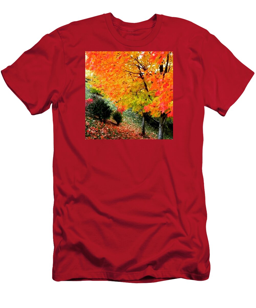 Autumn T-Shirt featuring the photograph Autumn Leaves by Angela Zalameda