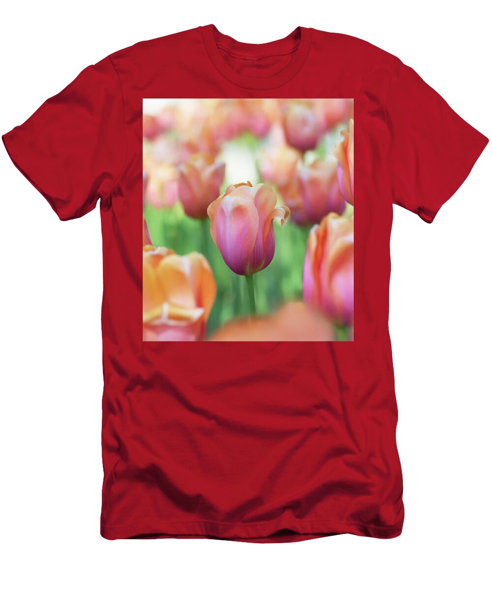 Beautiful T-Shirt featuring the photograph A bed of tulips is a feast for the eyes. by Usha Peddamatham