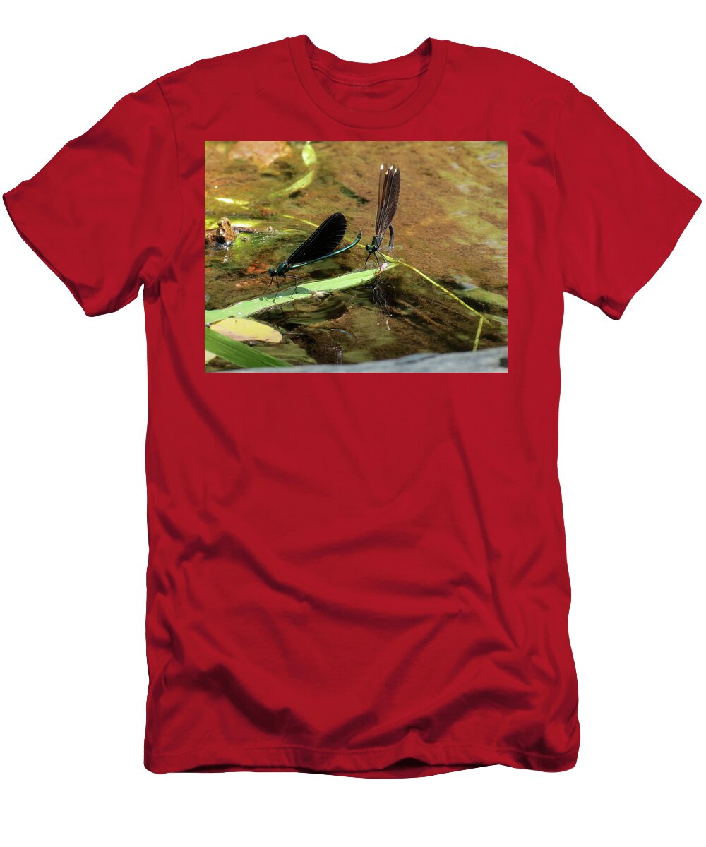 Damselfly T-Shirt featuring the photograph A pair alight by Azthet Photography
