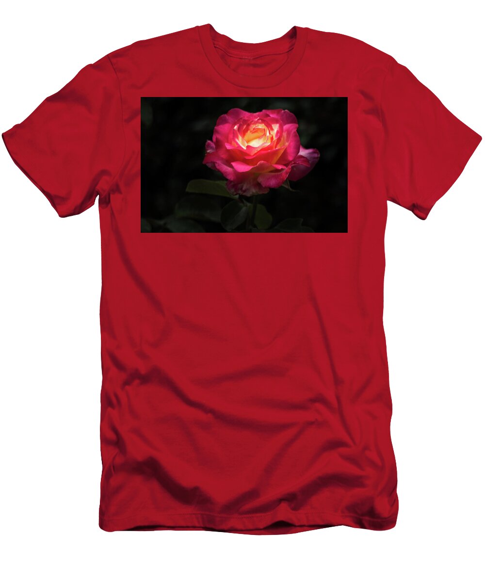 Rose T-Shirt featuring the photograph A Rose for Love by Ed Clark