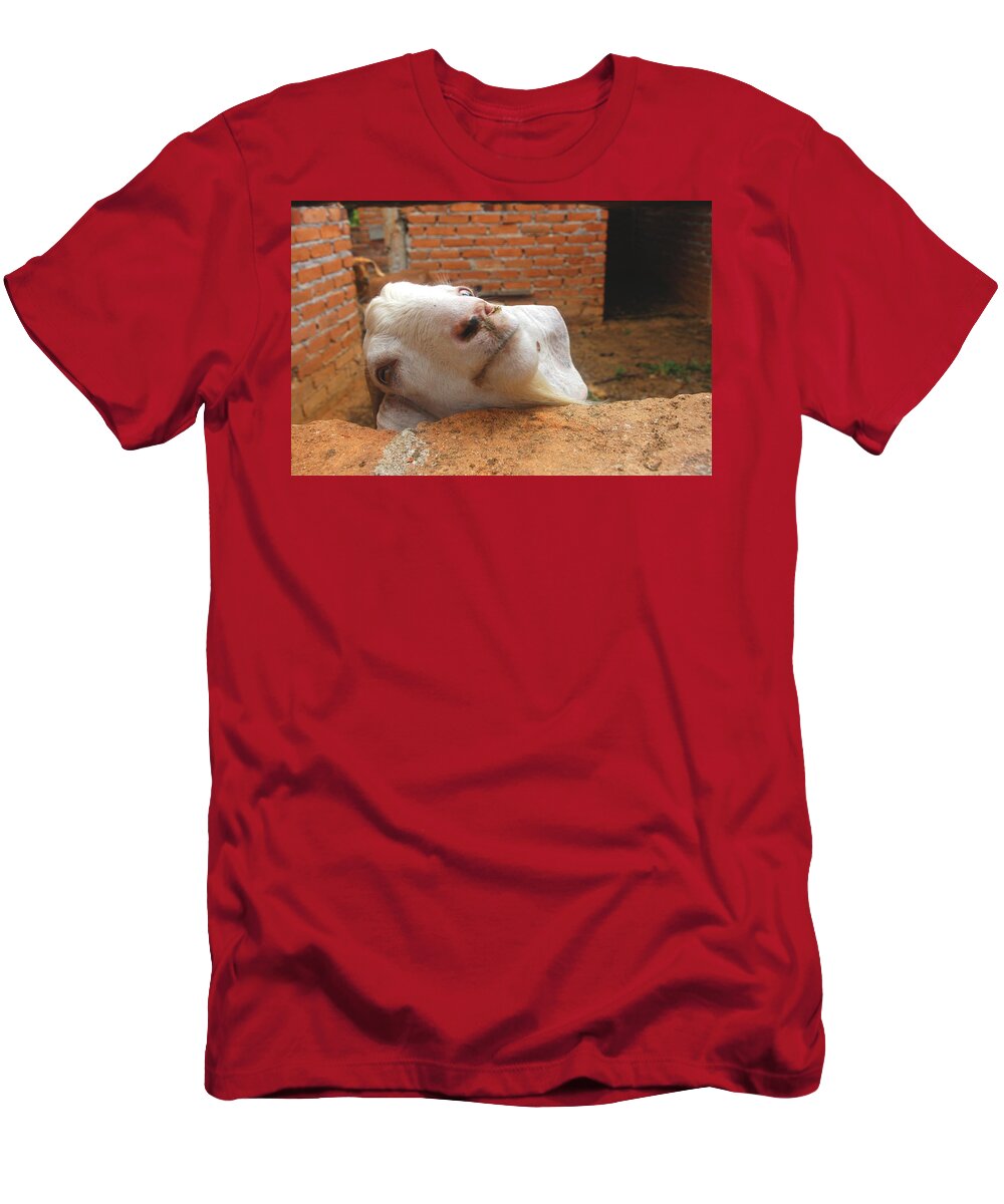 Smiling Goat T-Shirt featuring the digital art A Visit With A Smiling Goat by Pamela Smale Williams