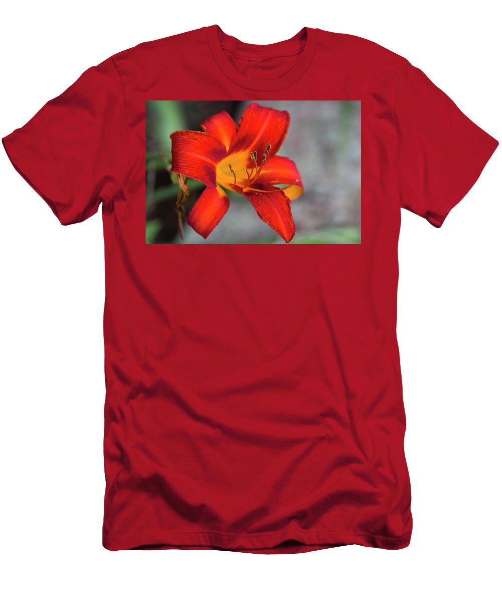 Orange T-Shirt featuring the photograph Ablaze by Kathy Clark
