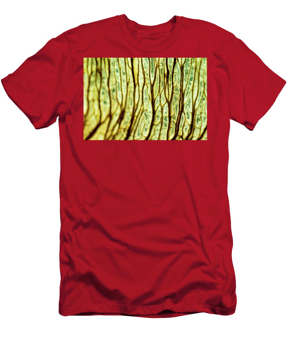 Jay Stockhaus T-Shirt featuring the photograph Abstract by Jay Stockhaus