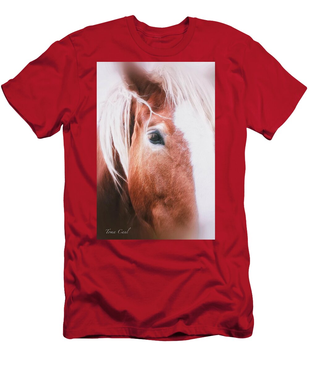 Horses T-Shirt featuring the photograph Always Dream signed by Toma Caul