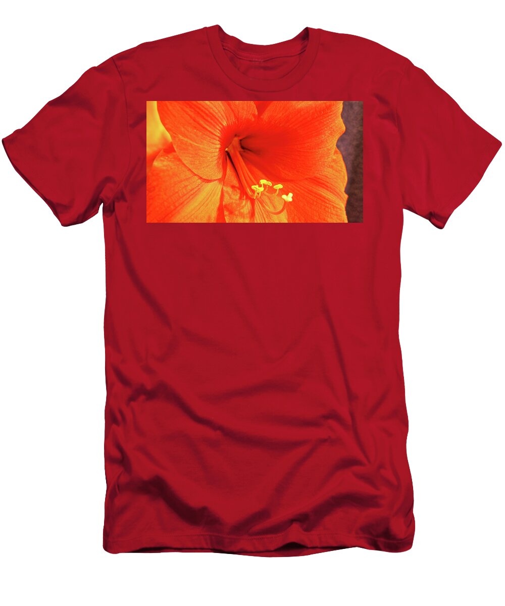 Amaryllis T-Shirt featuring the photograph Amaryllis by Allen Nice-Webb
