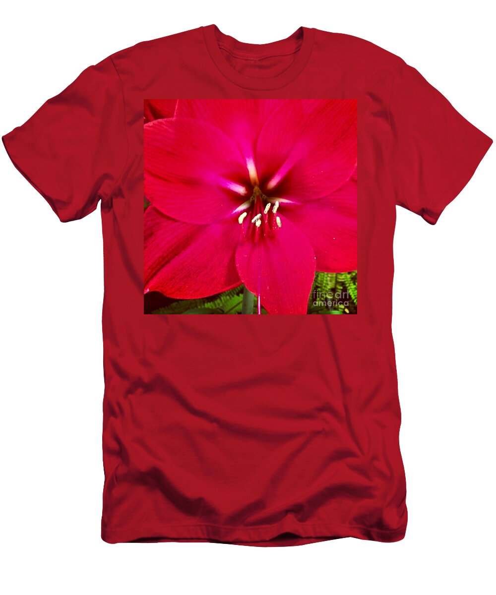 Flower T-Shirt featuring the photograph Amaryllis Detail by Denise Railey
