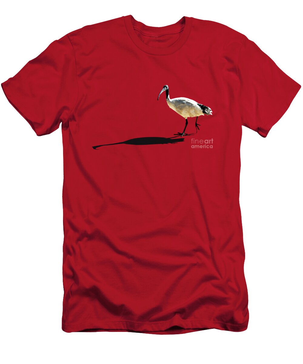 Susan Vineyard T-Shirt featuring the photograph Bribie Island Ibis by Susan Vineyard
