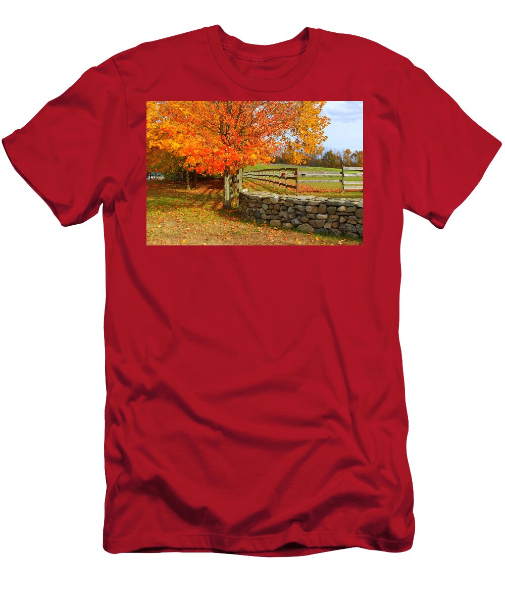 Autumn T-Shirt featuring the photograph Autumn Afternoon by Suzanne DeGeorge
