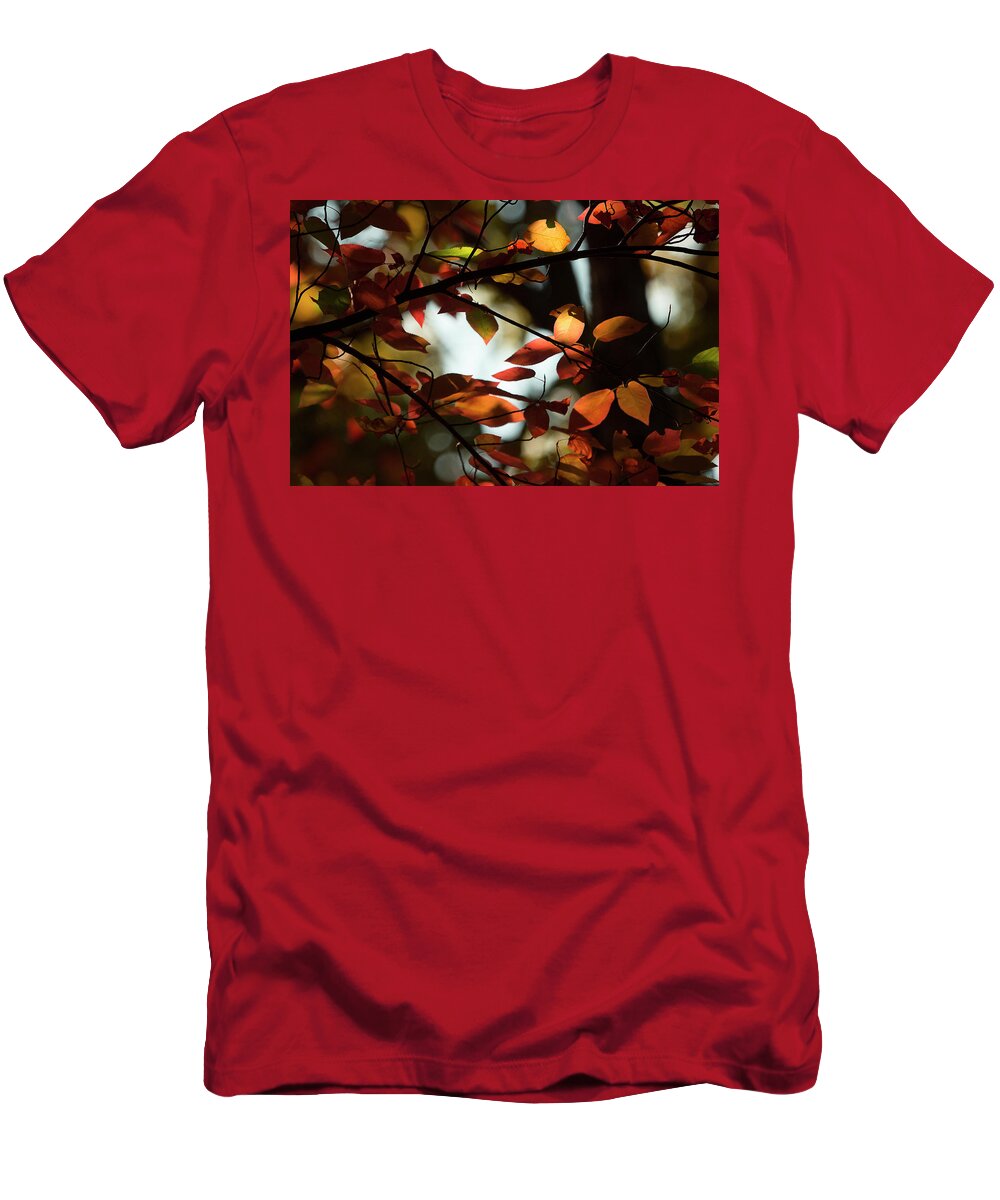 Fall Leaves T-Shirt featuring the photograph Autumn Changing by Mike Eingle
