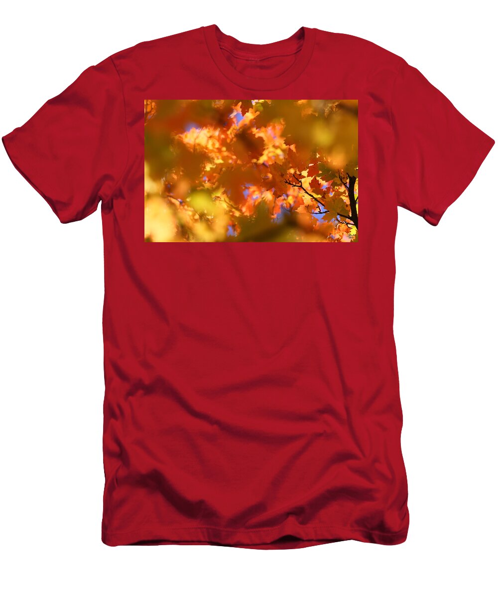 Landscape T-Shirt featuring the photograph Autumn Colors and Leaves by Brett Pelletier