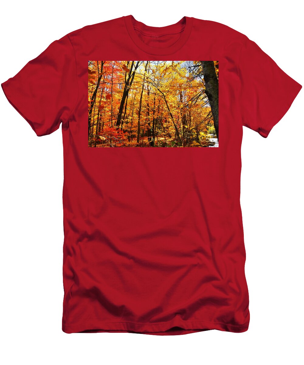  T-Shirt featuring the photograph Autumn Colors by Chuck Brown
