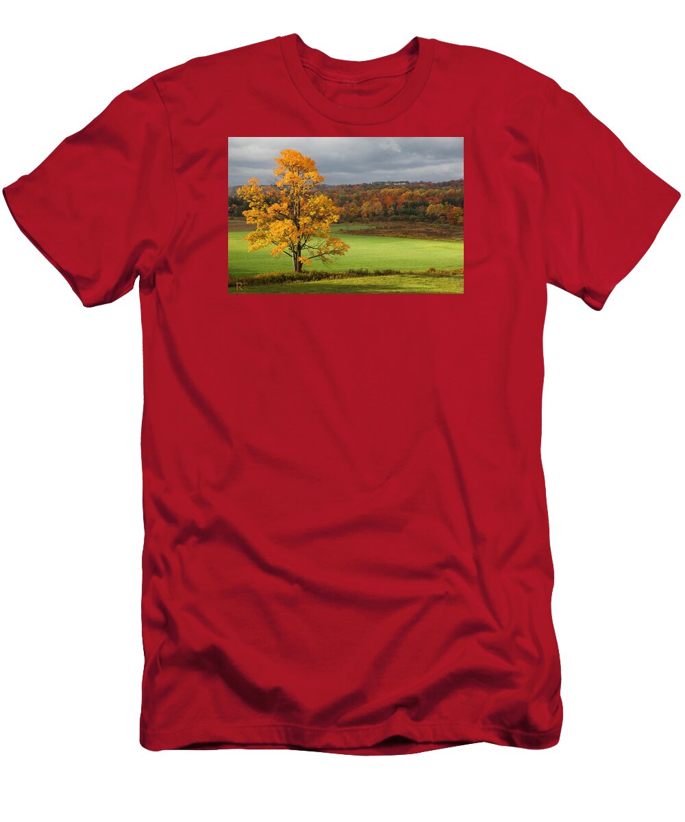 Autumn T-Shirt featuring the photograph Autumn Colors by Robert Och