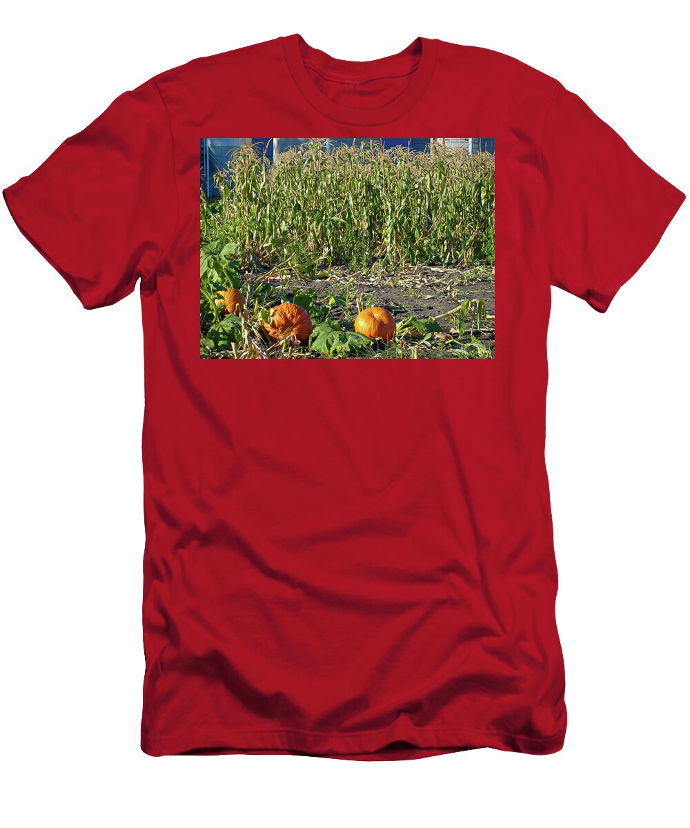 Autumn T-Shirt featuring the photograph Autumn Harvest by Robert Meyers-Lussier