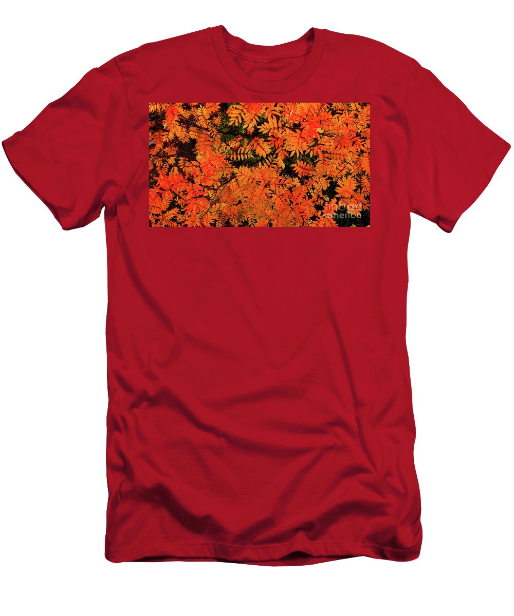  T-Shirt featuring the digital art Autumn in Maple Creek by Darcy Dietrich