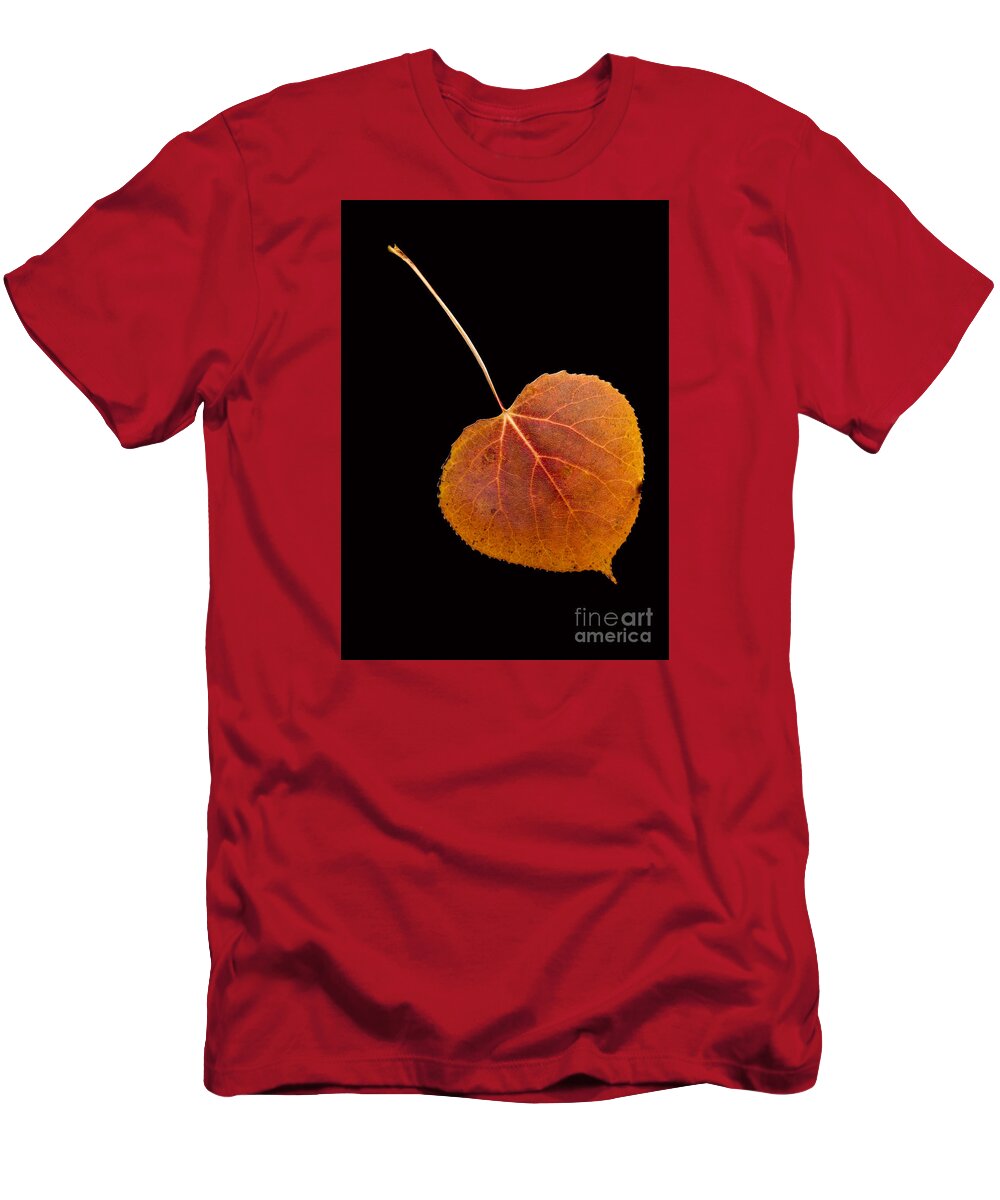 Autumn T-Shirt featuring the photograph Autumn Leaf by Edward Fielding