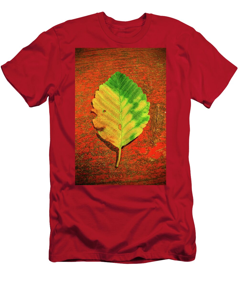 Autumn T-Shirt featuring the photograph Autumn Leaf Three by Tikvah's Hope