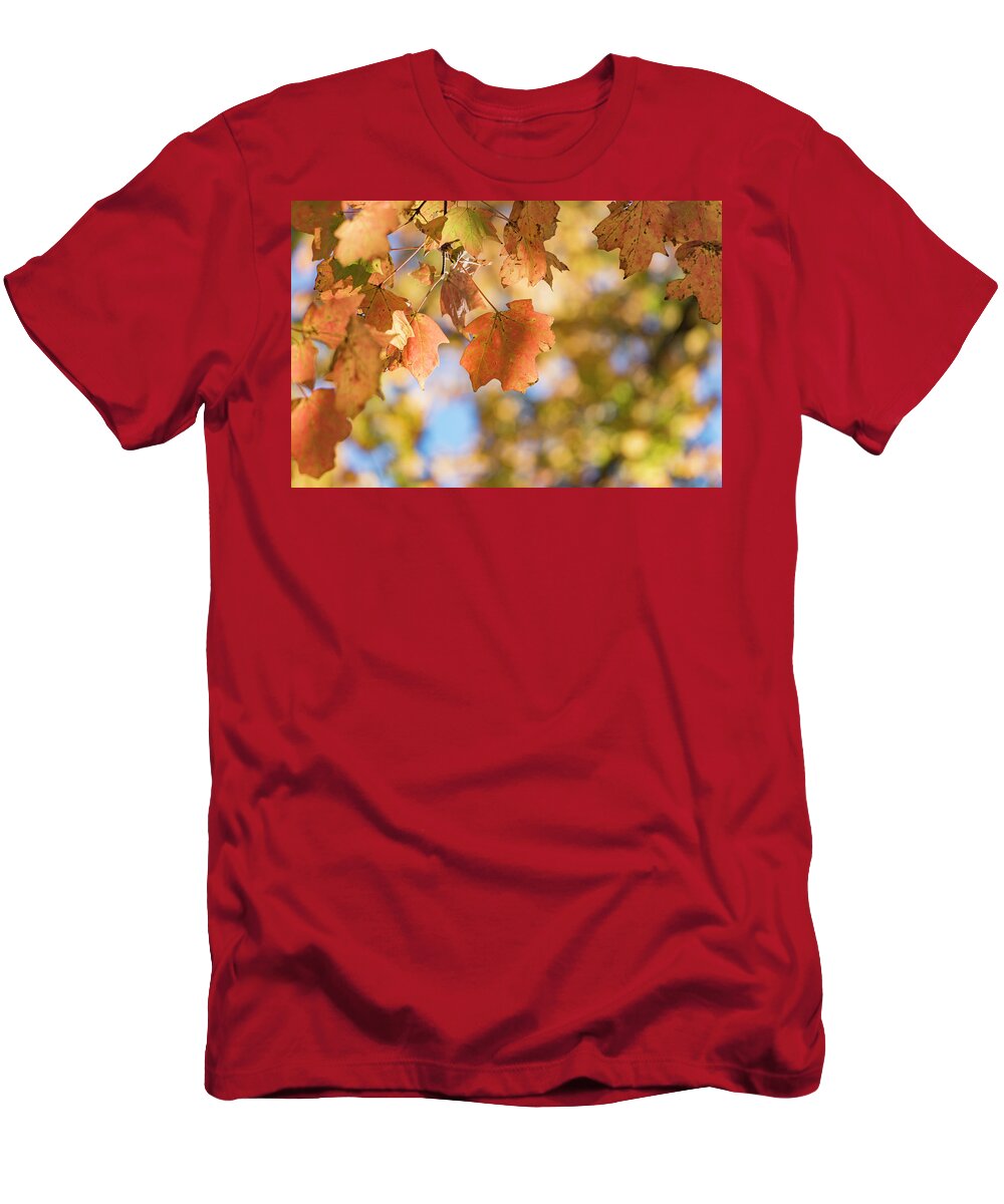 Autumn T-Shirt featuring the photograph Autumn Splendor by Holly Ross