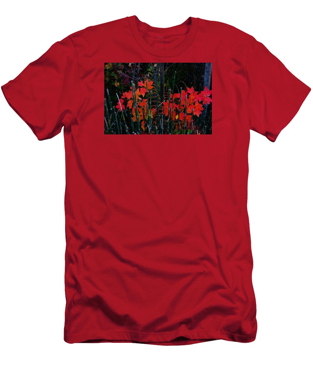 Color T-Shirt featuring the photograph Autumn by Steven Clipperton