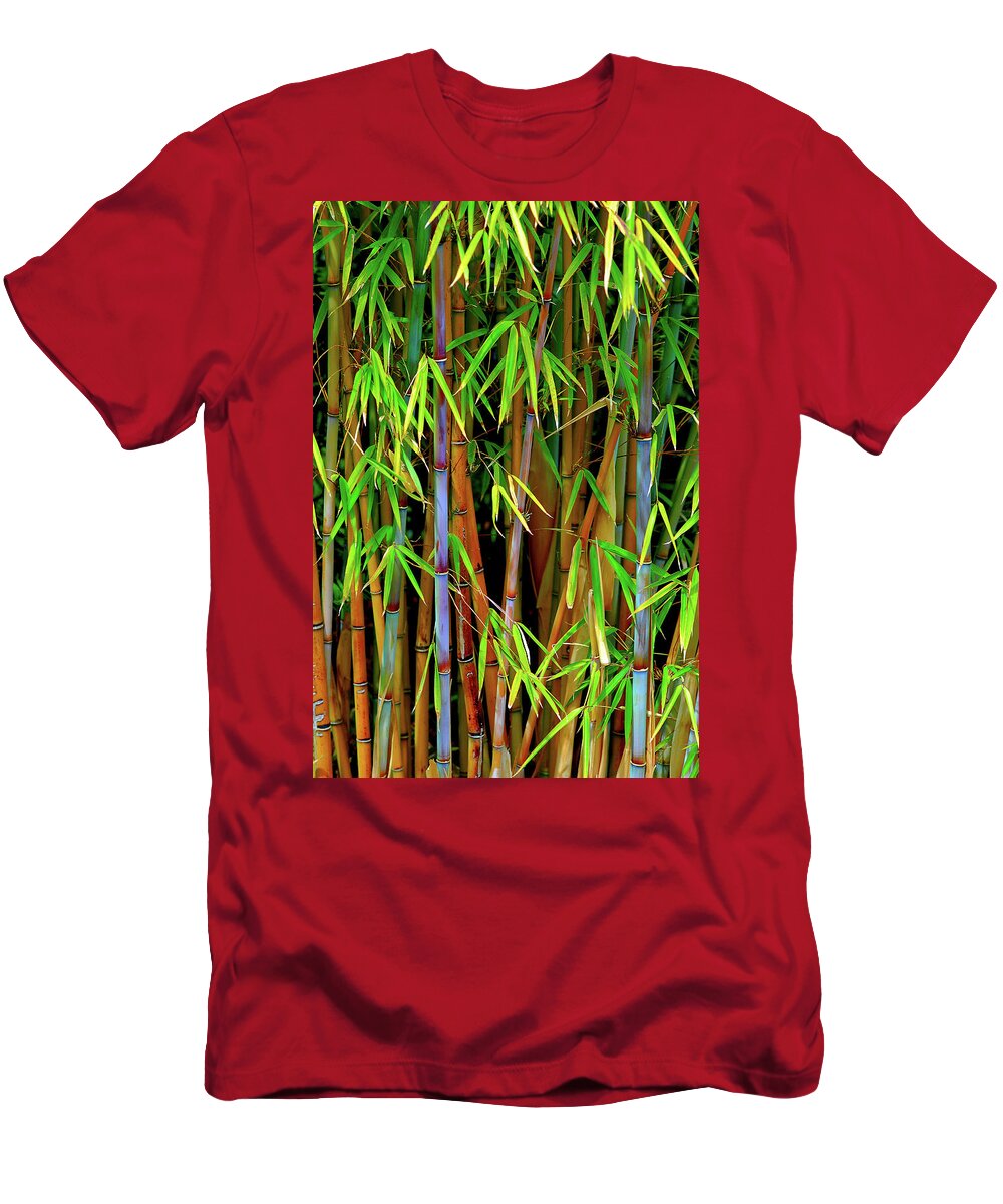 Bamboo T-Shirt featuring the photograph Bamboo by Harry Spitz