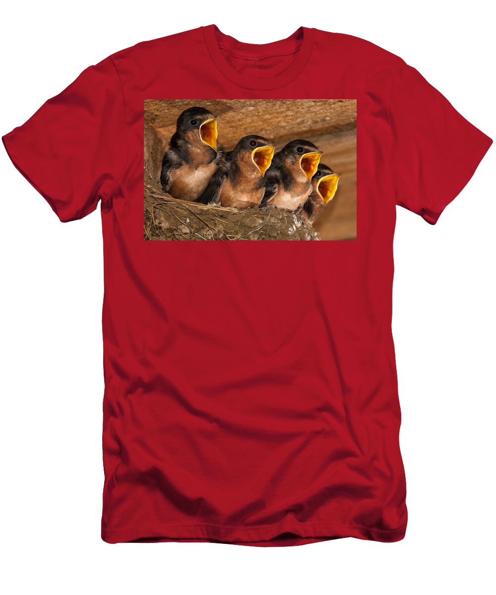 Nature T-Shirt featuring the photograph Barn Swallow Chicks by Jeff Phillippi