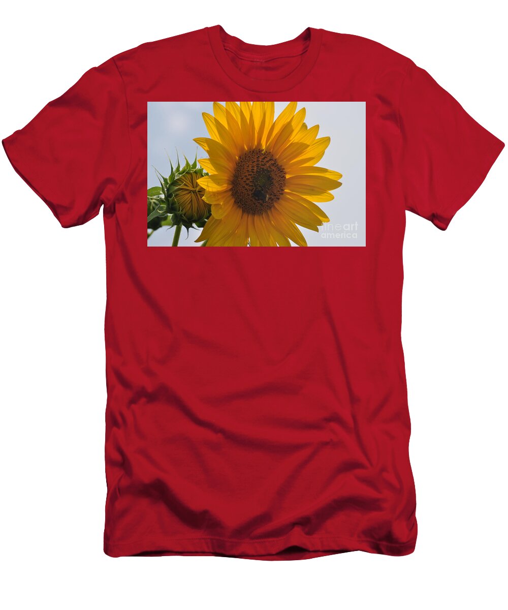 Sunflower T-Shirt featuring the photograph Before and After by Nona Kumah
