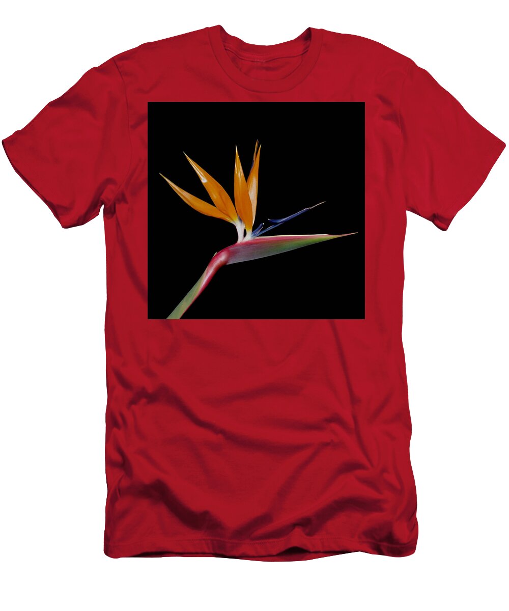 Bird Of Paradise T-Shirt featuring the photograph Bird of Paradise by Ellen Henneke