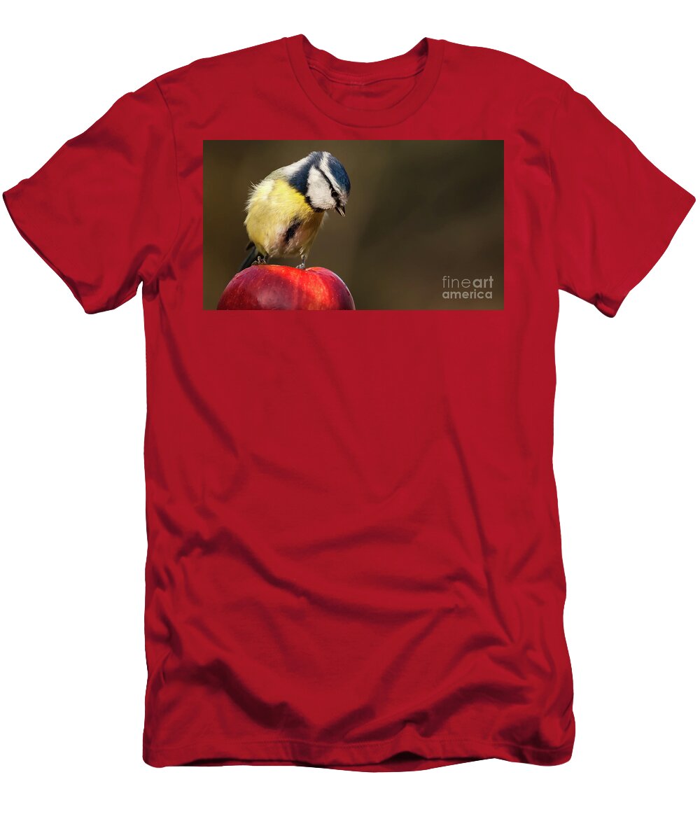 Bird T-Shirt featuring the photograph Blue Tit Cyanistes caeruleus sat on a red apple looking down by Simon Bratt