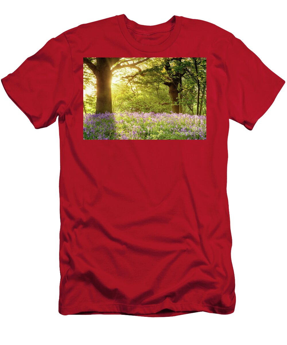 Bluebells T-Shirt featuring the photograph Bluebell wood with magical morning sunrise by Simon Bratt