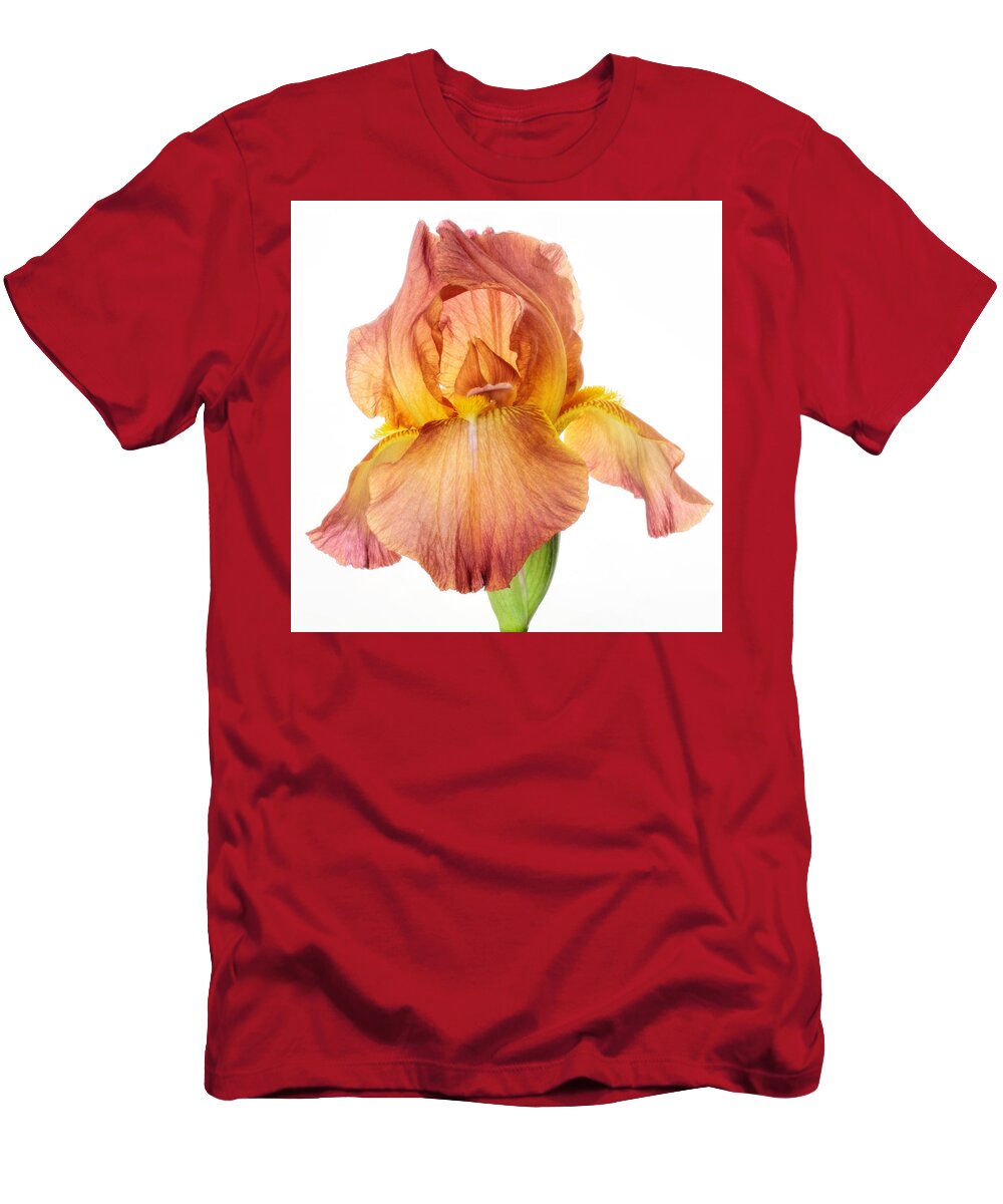 Bearded Iris T-Shirt featuring the photograph Bronze Beauty by David and Carol Kelly