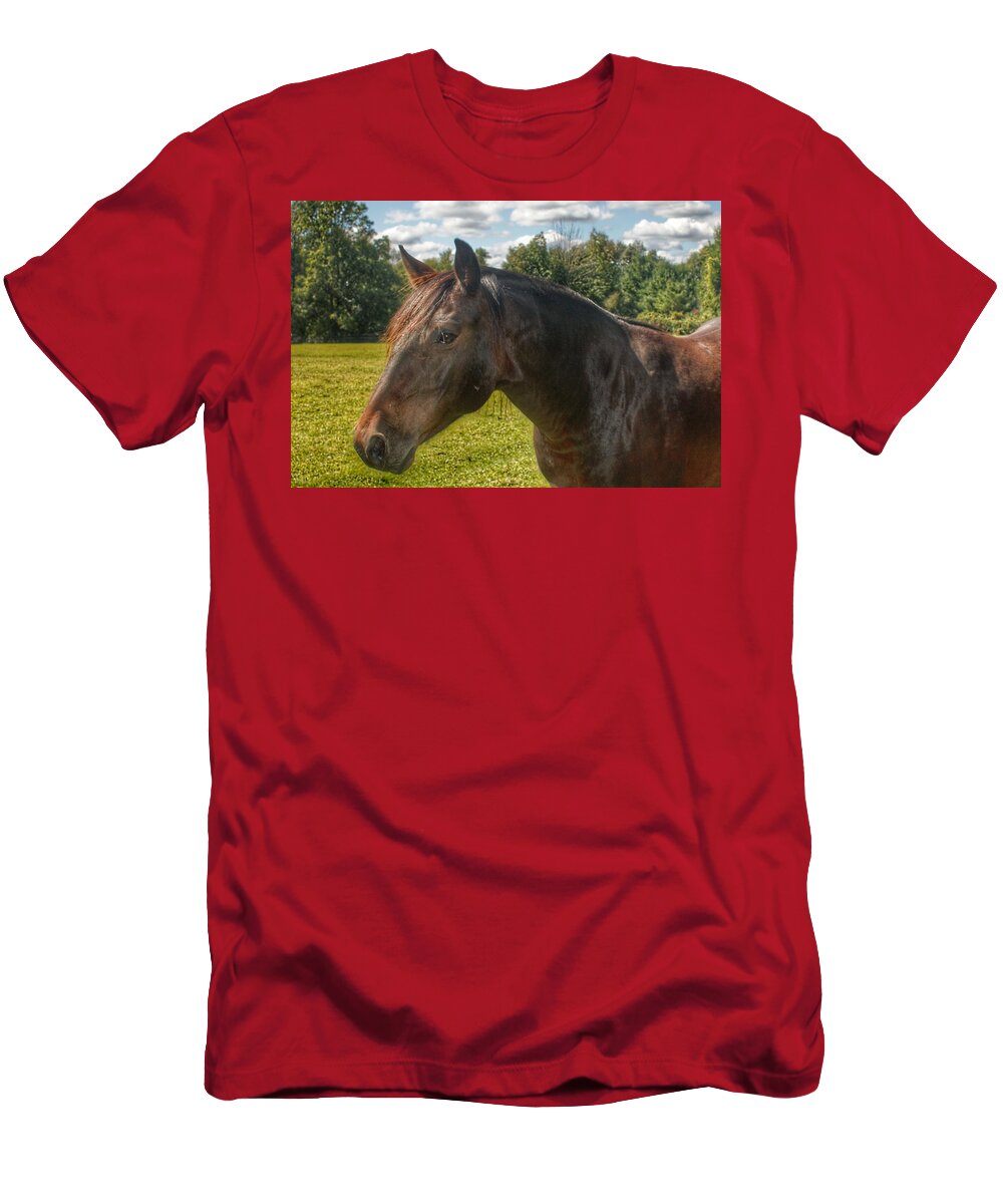 Horse T-Shirt featuring the photograph 1001 - Brown Beauty I by Sheryl L Sutter