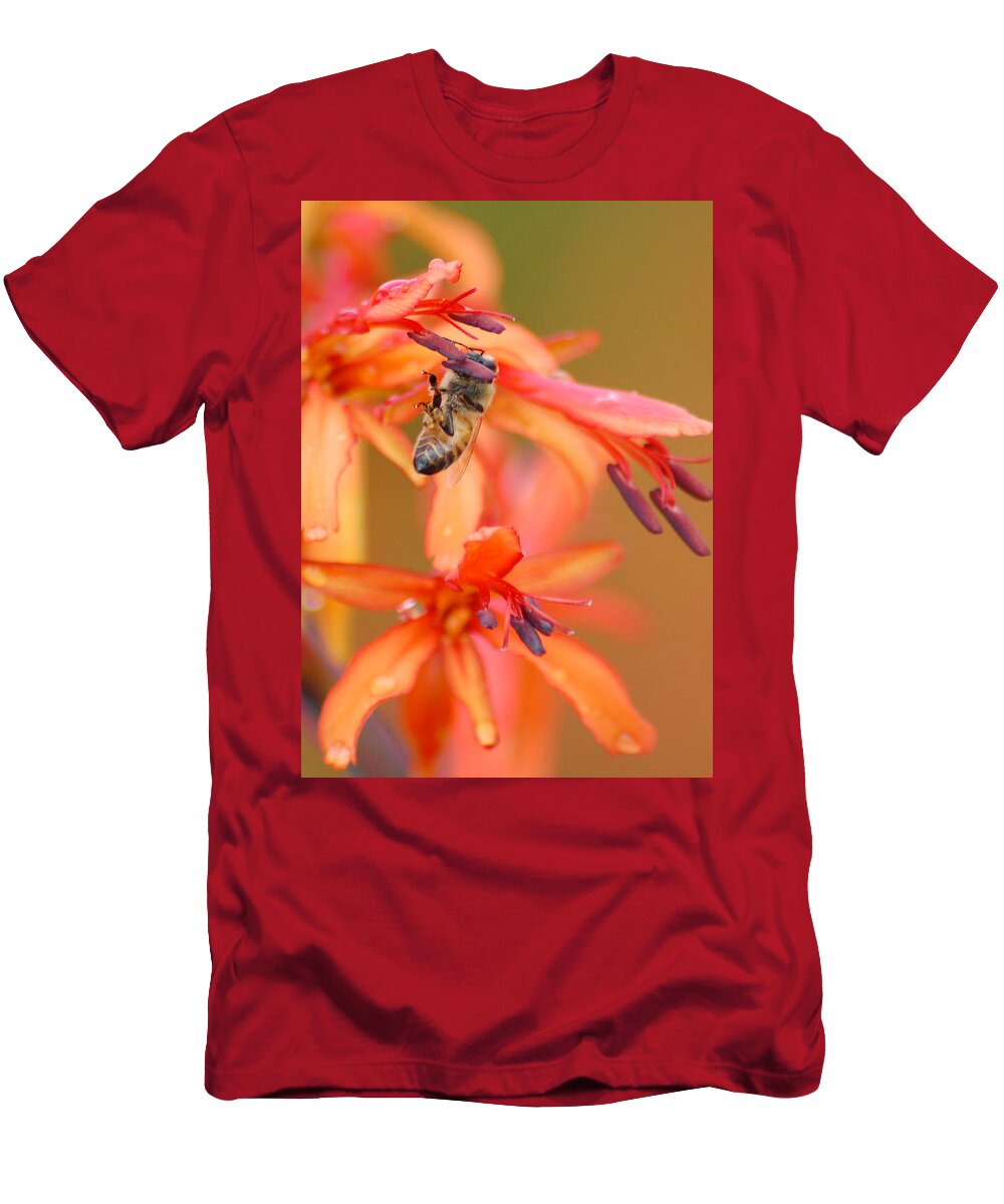 Bee T-Shirt featuring the photograph Busy Bee by Amy Fose