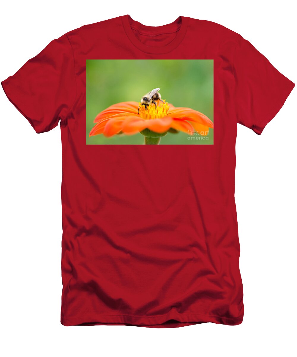 Bee T-Shirt featuring the photograph Busy Bee by Susan Garver