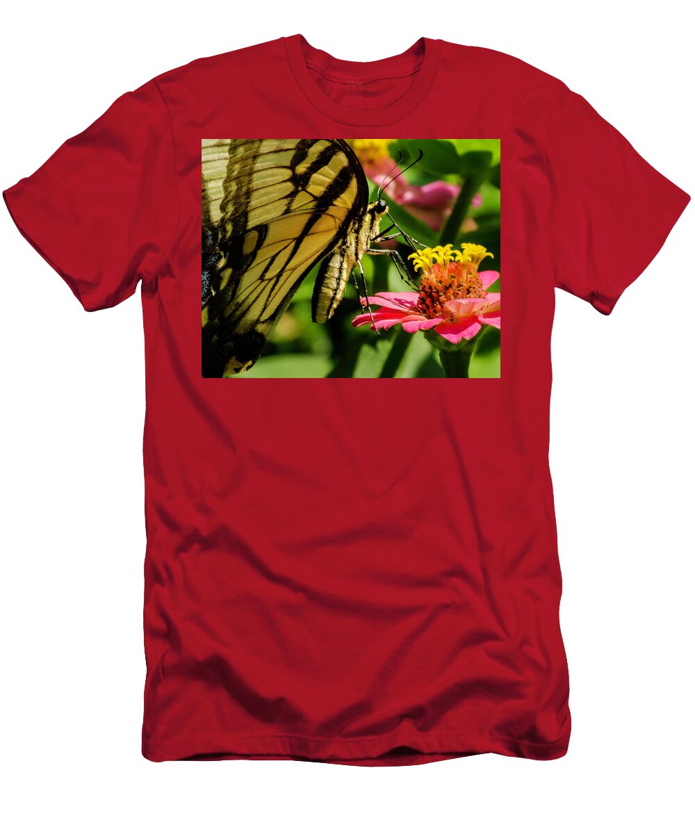 Butterfly T-Shirt featuring the photograph Butterfly and Zinnia by John Roach