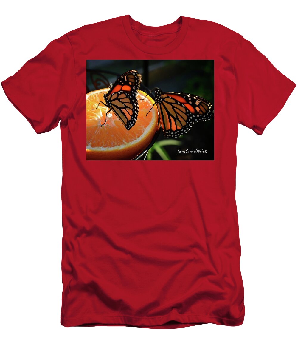 Butterflies T-Shirt featuring the photograph Butterfly Attraction by Lena Wilhite