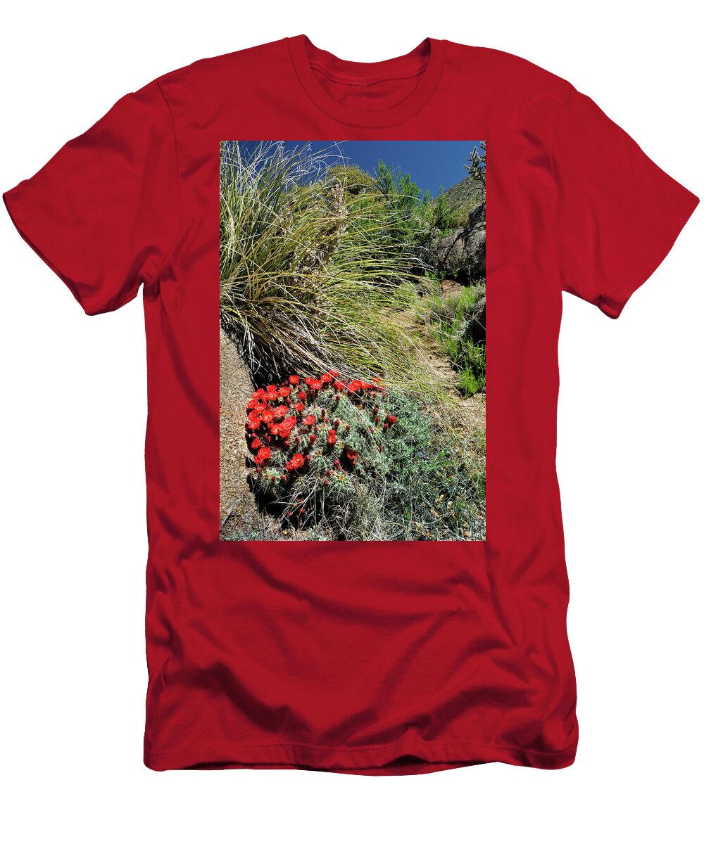 Landscape T-Shirt featuring the photograph Crimson Barrel Cactus by Ron Cline