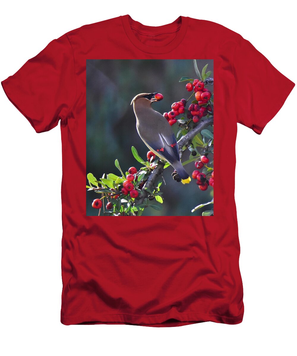 Linda Brody T-Shirt featuring the photograph Cedar Waxwing 2 by Linda Brody