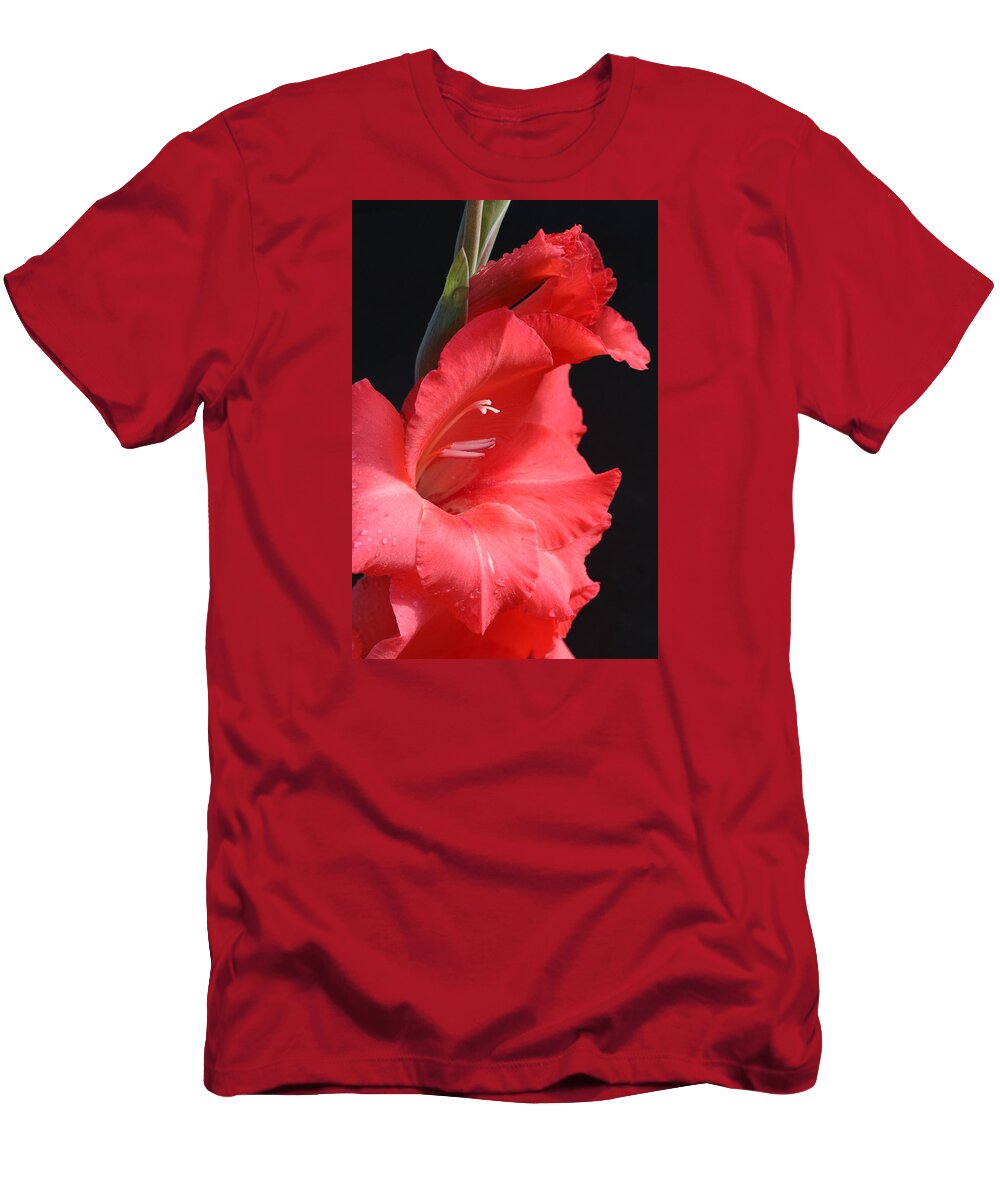Gladiolus T-Shirt featuring the photograph Chic Gladiolus by Tammy Pool