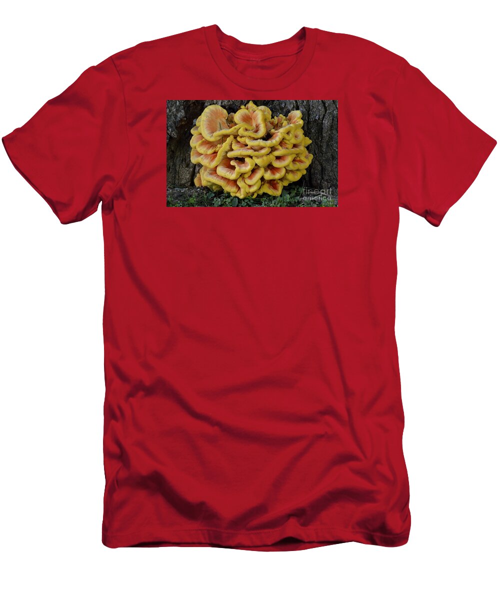 High Virginia Images T-Shirt featuring the photograph Chicken of the Woods by Randy Bodkins