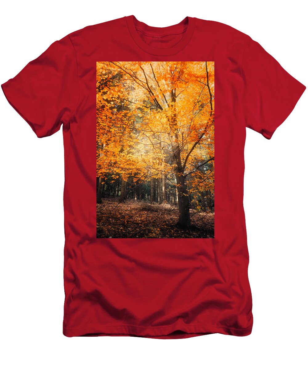 Trees T-Shirt featuring the photograph Circle of Life by Philippe Sainte-Laudy