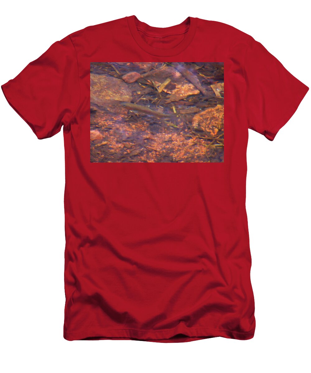 Home Decor T-Shirt featuring the painting Colorado Springs area Digital Oil #30 by Flees Photos