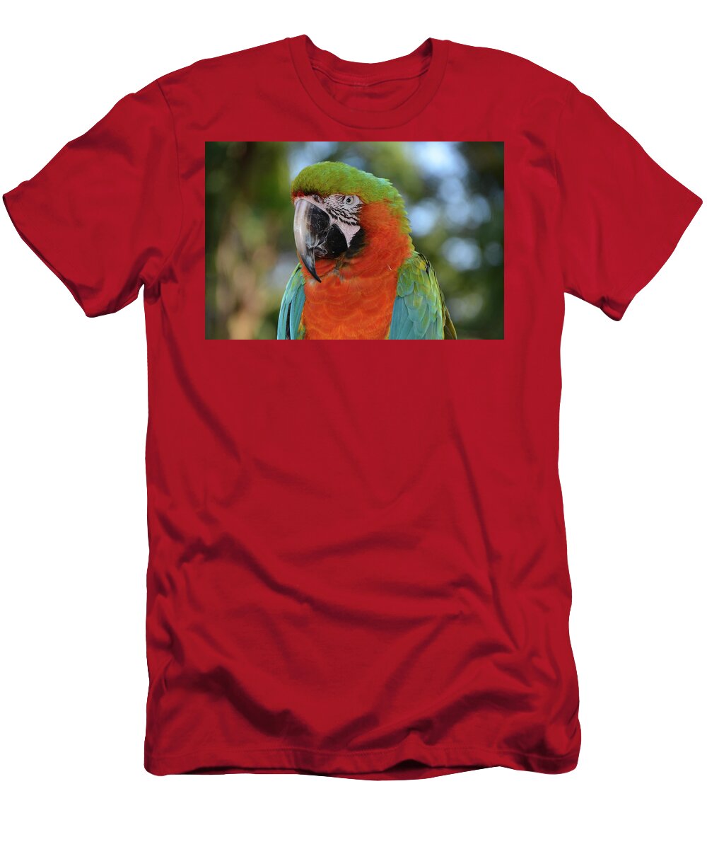 Macaw T-Shirt featuring the photograph Colorful Macaw Looking Left by Artful Imagery
