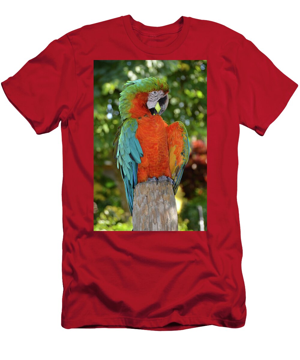 Macaw T-Shirt featuring the photograph Colorful Macaw with Wings Spread by Artful Imagery