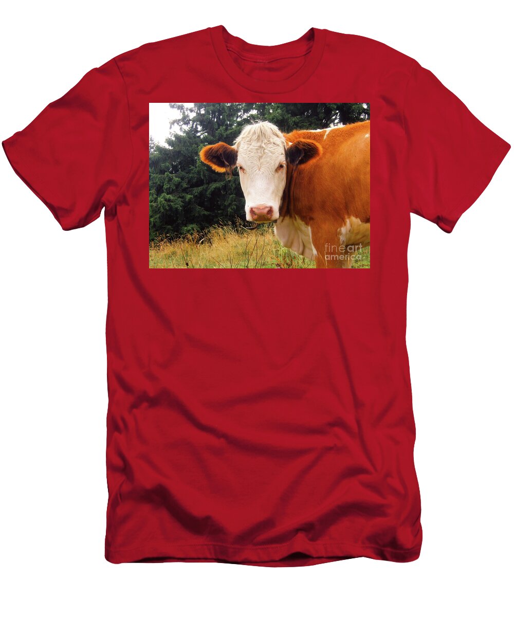 Photography T-Shirt featuring the photograph Cow in Pasture by MGL Meiklejohn Graphics Licensing